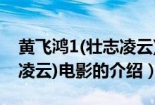 黃飛鴻1(壯志凌云)電影（關(guān)于黃飛鴻1(壯志凌云)電影的介紹）