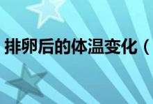 排卵后的體溫變化（排卵后體溫有什么變化）