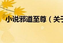 小說(shuō)邪道至尊（關(guān)于小說(shuō)邪道至尊的介紹）