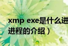 xmp exe是什么進程（關(guān)于xmp exe是什么進程的介紹）