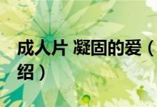 成人片 凝固的愛（關(guān)于成人片 凝固的愛的介紹）