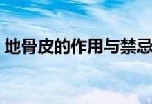 地骨皮的作用與禁忌（地骨皮的作用與功效）