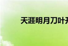 天涯明月刀葉開介紹（葉開講解）