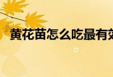 黃花苗怎么吃最有效（黃花苗的營(yíng)養(yǎng)價(jià)值）