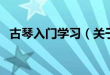 古琴入門學(xué)習(xí)（關(guān)于古琴入門學(xué)習(xí)的介紹）