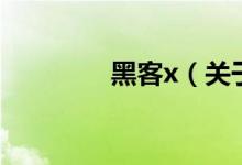 黑客x（關(guān)于黑客x的介紹）
