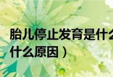 胎兒停止發(fā)育是什么導(dǎo)致的（胎兒停止發(fā)育是什么原因）