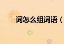 詞怎么組詞語（漢字詞怎么組詞語）