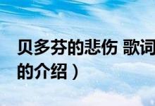 貝多芬的悲傷 歌詞（關(guān)于貝多芬的悲傷 歌詞的介紹）