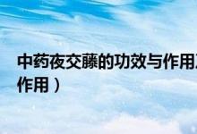 中藥夜交藤的功效與作用及食用方法（中藥夜交藤的功效與作用）