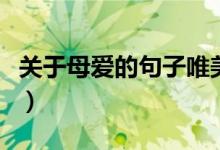 關(guān)于母愛(ài)的句子唯美（　描寫(xiě)母愛(ài)的優(yōu)美句子）