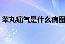 睪丸疝氣是什么病圖片（睪丸疝氣是什么?。?class=