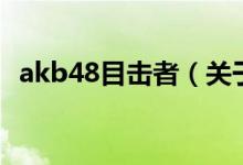 akb48目擊者（關(guān)于akb48目擊者的介紹）