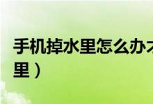 手機(jī)掉水里怎么辦才能用（如何處理手機(jī)掉水里）