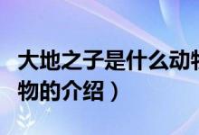大地之子是什么動物（關(guān)于大地之子是什么動物的介紹）