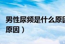 男性尿頻是什么原因造成的（男性尿頻是什么原因）