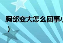 胸部變大怎么回事小說(shuō)污（胸部變大怎么回事）