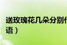 送玫瑰花幾朵分別代表什么意思（玫瑰花的花語）