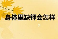 身體里缺鉀會(huì)怎樣（身體里缺鉀會(huì)怎么樣）