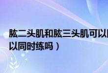 肱二頭肌和肱三頭肌可以同時(shí)練嗎（肱二頭肌和肱三頭肌可以同時(shí)練嗎）