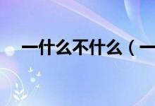 一什么不什么（一什么不什么成語精選）