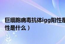 巨細(xì)胞病毒抗體igg陽(yáng)性是什么病毒（巨細(xì)胞病毒抗體igg陽(yáng)性是什么）