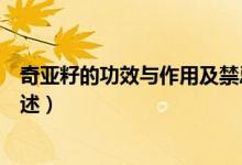 奇亞籽的功效與作用及禁忌（奇亞籽的功效與作用及禁忌簡述）