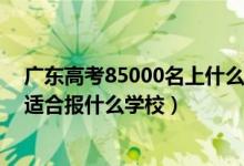 廣東高考85000名上什么學(xué)校（廣東高考位次170000左右適合報什么學(xué)校）