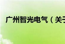廣州智光電氣（關(guān)于廣州智光電氣的介紹）