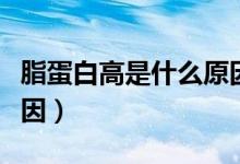 脂蛋白高是什么原因引起(脂蛋白高是什么原因)