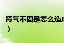 腎氣不固是怎么造成的（腎氣不固是怎么回事）