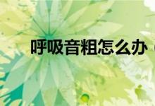 呼吸音粗怎么辦（呼吸音粗怎么回事）