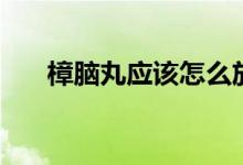 樟腦丸應(yīng)該怎么放（樟腦丸如何用呢）
