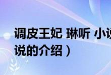 調(diào)皮王妃 琳聽 小說（關(guān)于調(diào)皮王妃 琳聽 小說的介紹）