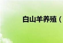 白山羊養(yǎng)殖（大家可以看一看）