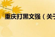 重慶打黑文強(qiáng)（關(guān)于重慶打黑文強(qiáng)的介紹）