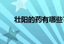 壯陽的藥有哪些?（壯陽的藥有哪些）