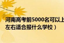 河南高考前5000名可以上什么學(xué)校（河南高考位次200000左右適合報什么學(xué)校）