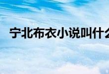 寧北布衣小說叫什么（寧北布衣小說簡介）