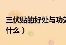 三伏貼的好處與功效（三伏貼的好處和功效是什么）