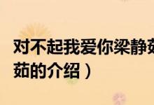 對(duì)不起我愛你梁靜茹（關(guān)于對(duì)不起我愛你梁靜茹的介紹）
