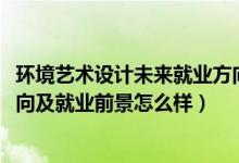 環(huán)境藝術(shù)設計未來就業(yè)方向（2022環(huán)境藝術(shù)設計專業(yè)就業(yè)方向及就業(yè)前景怎么樣）