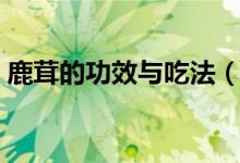 鹿茸的功效與吃法（關(guān)于鹿茸的功效與吃法）