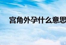 宮角外孕什么意思（宮角孕是什么意思）