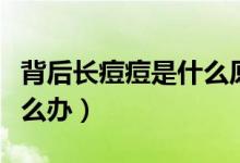 背后長痘痘是什么原因怎么治（背后長痘痘怎么辦）