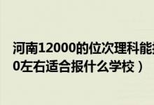 河南12000的位次理科能報(bào)哪些大學(xué)（河南高考位次120000左右適合報(bào)什么學(xué)校）