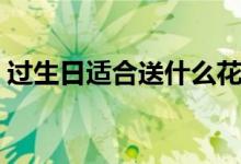過生日適合送什么花（生日適合送的花介紹）