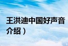 王洪迪中國好聲音（關(guān)于王洪迪中國好聲音的介紹）