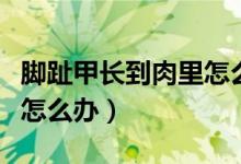 腳趾甲長到肉里怎么辦矯正(腳趾甲長到肉里怎么辦)