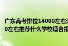 廣東高考排位14000左右選哪間大學(xué)好（廣東高考位次30000左右推薦什么學(xué)校適合報(bào)什么大學(xué)）